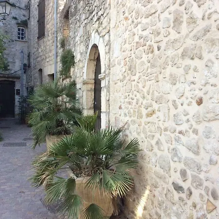 Weekome L'Olivaie - Juan Les Pins 公寓